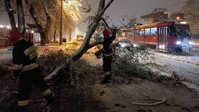 снігопад у Дніпрі