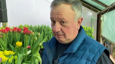 "18 років у квітах": 50 тисяч тюльпанів 38 сортів виростала у теплиці родина із Прилук "18 років у квітах": 50 тисяч тюльпанів 38 сортів виростала у теплиці родина із Прилук
