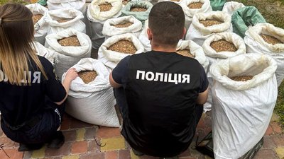 Каміння, яке вилучили правоохоронці
