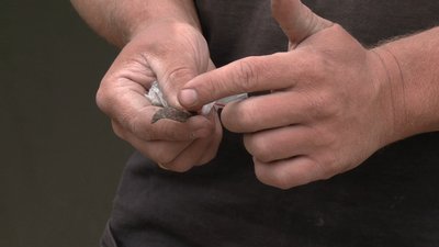 Рівненщина: у Гощанському городищі археологи знайшли піч 11-го століття Рівненщина: у Гощанському городищі археологи знайшли піч 11-го століття