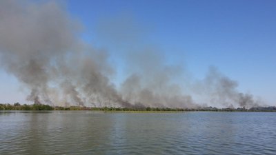 На Херсонщині горів природний парк, поліція відкрила кримінальне провадження