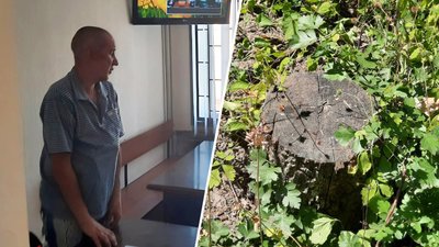 Підозрюють у знищенні дерев, Ленінський суд