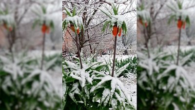 ФОТО: Валентина Воєвода