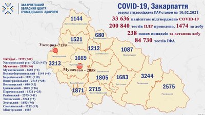 На Закарпатті за добу виявили 238 хворих на COVID-19