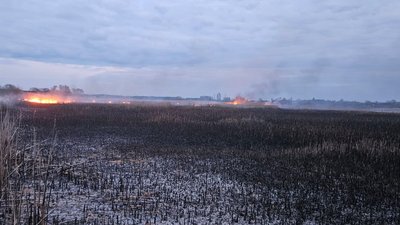 На Волині за добу ліквідували 4 пожежі: під час найбільшої вигоріли 2 га сухої трави та очерету На Волині за добу ліквідували 4 пожежі: під час найбільшої вигоріли 2 га сухої трави та очерету