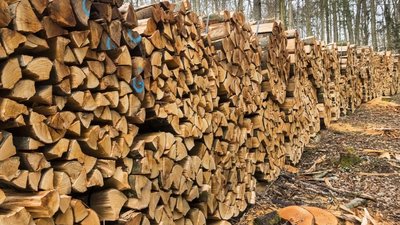 У 2021 році жителі Миколаївщини закупили майже 19 тисяч кубічних метрів дров