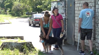 На Черкащині собак стерилізують та щеплюють від сказу На Черкащині собак стерилізують та щеплюють від сказу