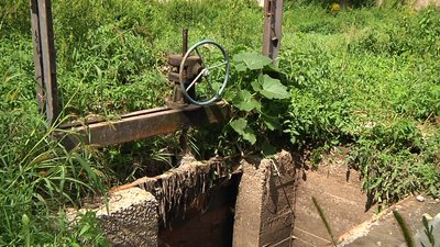 У Житомирі роблять лабораторні дослідження води у Тетереві через аварію на каналізаційній станції У Житомирі роблять лабораторні дослідження води у Тетереві через аварію на каналізаційній станції