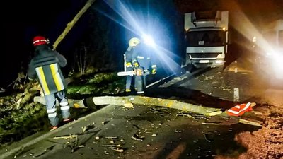 ДСНС, негода, Франківщина, дерево, рятувальники