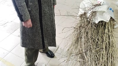 Пенсіонерка з Франківщини відправила харків'янам саджанці дерев та квітів