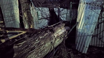 Від сильного вітру в Ужгороді впало дерево та зірвало дах шкільної бібліотеки Від сильного вітру в Ужгороді впало дерево та зірвало дах шкільної бібліотеки