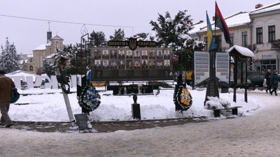 У центрі Коломиї на Франківщині зрубали дві блакитні ялинки: як відреагували містяни