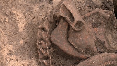 На межі Рівного і Квасилова археологи розкопали ритуальне поховання На межі Рівного і Квасилова археологи розкопали ритуальне поховання