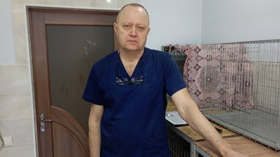 Закрила собою військових під час обстрілу. Історія вівчарки Олівії, яку лікують у Кривому Розі Закрила собою військових під час обстрілу. Історія вівчарки Олівії, яку лікують у Кривому Розі