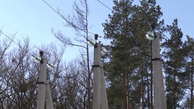 На Житомирщині через негоду залишилися без світла три села Глибочицької громади На Житомирщині через негоду залишилися без світла три села Глибочицької громади