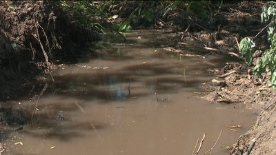 Через несправну каналізацію, нечистоти зливають у Косівщинське водосховище, що під Сумами Через несправну каналізацію, нечистоти зливають у Косівщинське водосховище, що під Сумами