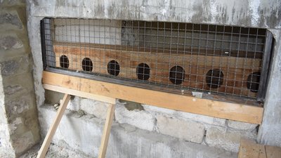 У притулку в Сокирянах облаштовують дерев'яні будиночки для собак У притулку в Сокирянах облаштовують дерев'яні будиночки для собак