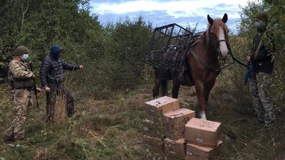 На кордоні з РФ у Харківській області затримали чоловіка з конем: віз тютюнову контрабанду