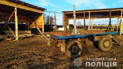 На Житомирщині двічі за добу поліція виявила необліковану деревину
