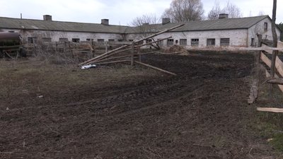 Ферма біля російського кордону. Чернігівщина Ферма біля російського кордону. Чернігівщина