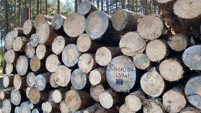Заготівля та продаж дров на Полтавщині: скільки коштують