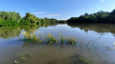 Велика вода на Одещині: рівень річок Дністер та Турунчук продовжує підвищуватися