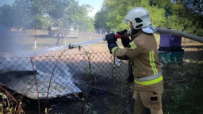В пожежі у Тячівському районі згоріли 16 вуликів із бджолами