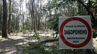 Як чіпують зрізані у лісгоспах дерева та які дані можна дізнатись за номером бирки на деревині Як чіпують зрізані у лісгоспах дерева та які дані можна дізнатись за номером бирки на деревині