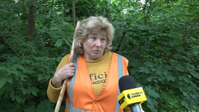У Житомирі планують витратити майже три мільйони гривень на зрізання пошкоджених дерев У Житомирі планують витратити майже три мільйони гривень на зрізання пошкоджених дерев