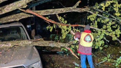 Сильний вітер повалив більше ніж 100 дерев у Харкові, пошкоджені 17 авто 26 квітня 2026