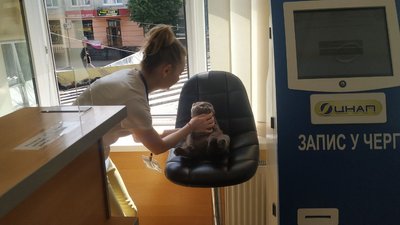 У Луцькому ЦНАПі долучились до акції "Візьми собаку на роботу" У Луцькому ЦНАПі долучились до акції "Візьми собаку на роботу"