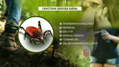 Хвороба Лайма або бореліоз: скільки випадків виявили на Полтавщині