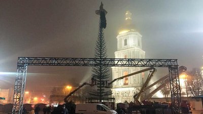 Головна ялинка почала обростати гіллям Головна ялинка почала обростати гіллям