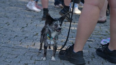 В Одесі стартувала Прайд Хода ЛГБТ-фестивалю. Текстовий онлайн В Одесі стартувала Прайд Хода ЛГБТ-фестивалю. Текстовий онлайн