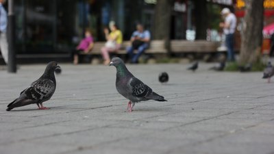 Карантин: якому критерію МОЗ не відповідає Харківщина