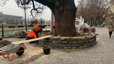 В Ужгороді ремонтують лавки на площі Фенцика і біля ясена Масарика