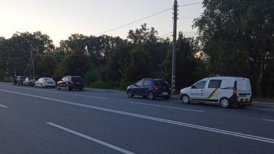 На Житомирщині поліцейські зупинили автомобіль, в якому знайшли незаконно впольовану косулю
