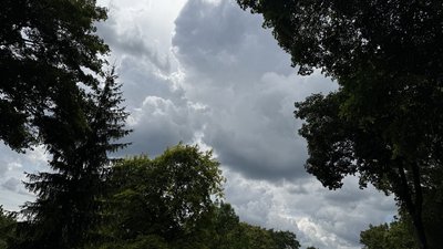небо, хмари, дерева