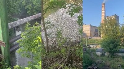 Підприємство, місця викиду ним стоків та загибла риба