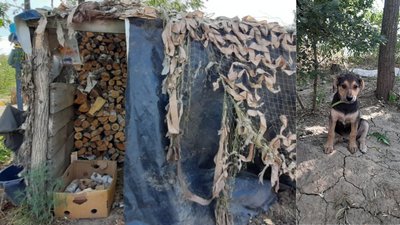 На Донбасі поранено одного українського військового — штаб ООС