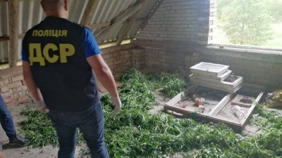 На Івано-Франківщині поліцейські вилучили наркотиків на 30 млн грн