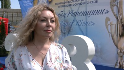 Виставка собак