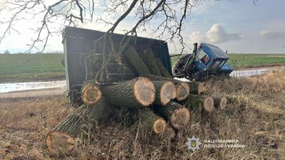 Незаконна вирубка дерев на Чернігівщині: з двох чоловіків суд стягнув майже 760 тис.грн