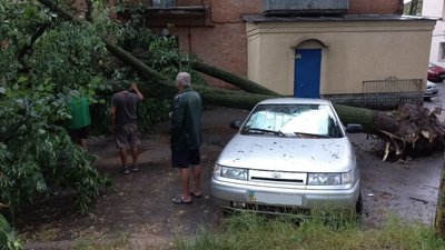 У Полтаві через негоду частково повалило дерева У Полтаві через негоду частково повалило дерева