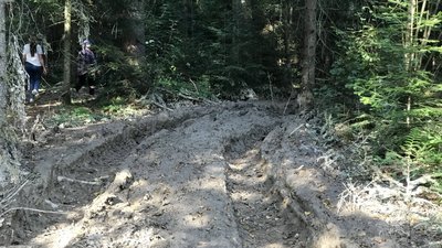 марафоннннн екологія марафоннннн екологія