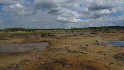 У Рівненському заповіднику старателі розмили понад 70 га. Які наслідки там фіксують У Рівненському заповіднику старателі розмили понад 70 га. Які наслідки там фіксують