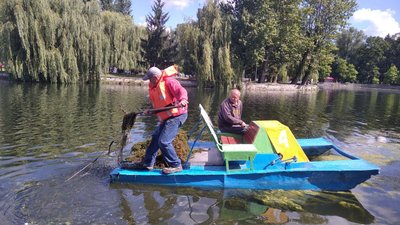Тернопільський став чистять від водоростей