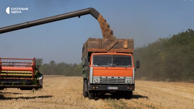 Брак співробітників та стислі терміни: на Одещині тривають жнива Брак співробітників та стислі терміни: на Одещині тривають жнива