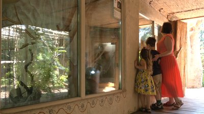 Містечко для евакуйованих тварин будують у Черкаському зоопарку Містечко для евакуйованих тварин будують у Черкаському зоопарку