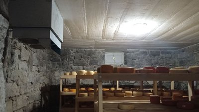 Тонна молока в день. Як соціальна ферма на Львівщині робить сир і допомагає дітям з інвалідністю Тонна молока в день. Як соціальна ферма на Львівщині робить сир і допомагає дітям з інвалідністю